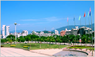 Well Leading Import and Export Co., Ltd.